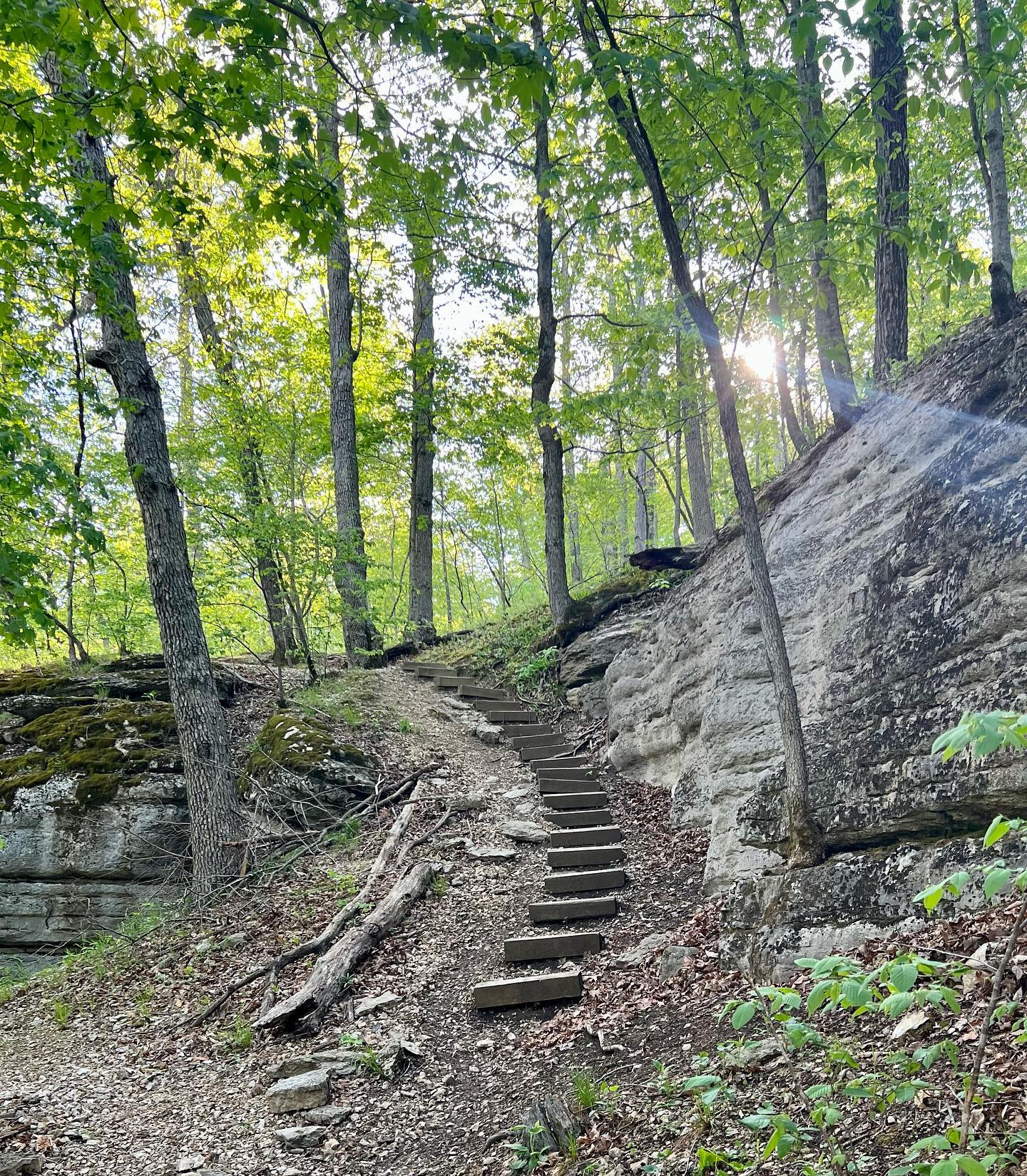 I traded the kitchen for the forest today! Spring in Arkansas is my most favorite ♥️